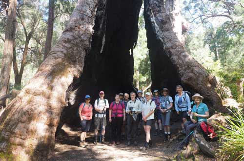 bibbulmun-track-walk-walpole-to-denmark-western-australia 