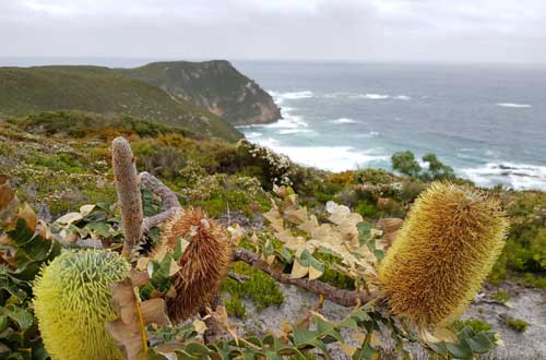 bibbulmun-track-walk-walpole-to-denmark-western-australia