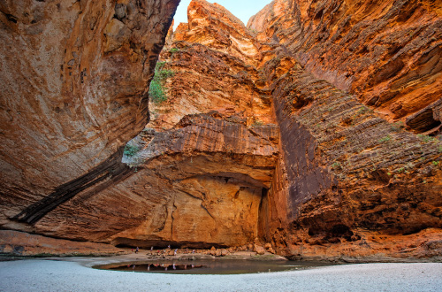 Bungle-Bungle-guided-walk-Cathedral-Gorge