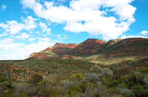 flinders-ranges-outback-south-australia-arkaroo-rock-hike-walk-geology-aboriginal-culture