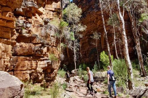 flinders-ranges-south-australia-hike-gorge-rock-formation