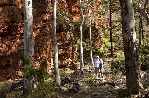 flinders-ranges-outback-walk