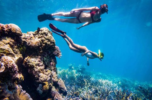 indonesia-tour-komodo-island-walking-cruise-snorkeling-experience