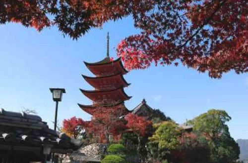 japan-tour-hiroshima-miyajima-island-shimanami-kaido-cycling-miyajima-island-pagoda