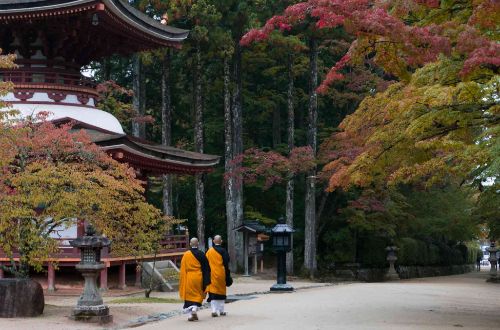 koyasan-luxury-walk-monks-at-temple