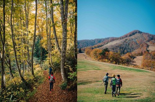 Shin-etsu-trail-self-guided-walk-japan