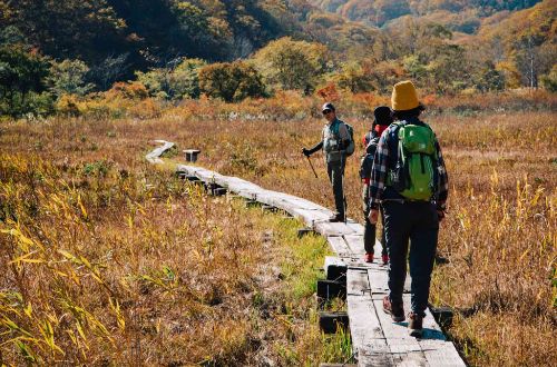 Shin-etsu-trail-trekking-japan-walking-boardwalk-autumn