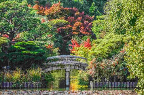 japan-walk-japan-alps-explore-kyoto-garden