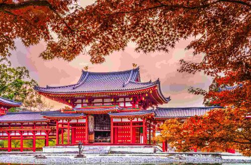 japan-tour-kyoto-nara-walk-and-cycle-byodoin-temple