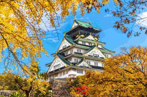 japan-luxury-walk-kyoto-castle