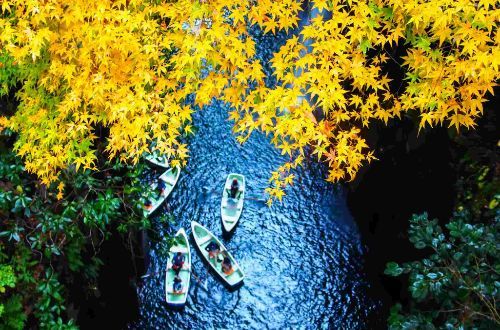 apan-luxury-walk-kyushu-takachiho-gorge-boat-rowing