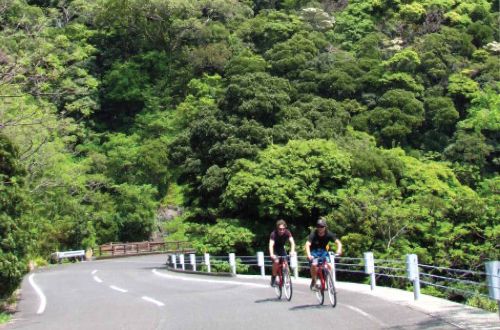 yakushima-cycling-Japan