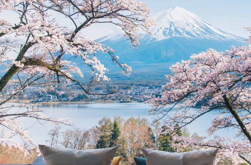 japan-walk-luxury-fuji-escape-lake-kawaguchi-HOSHINOYA-Fuji-cherry-blossom