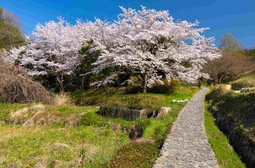 japan-tour-ancient-capitals-nara-asuka-walk-yamanobe-no-michi-trail