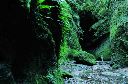 japan-tour-shikoku-mountain-and-sea-walk-ioki-cave-entrance-