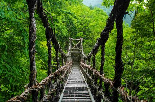 japan-luxury-walk-shikoku-iya-valley-vine-bridge