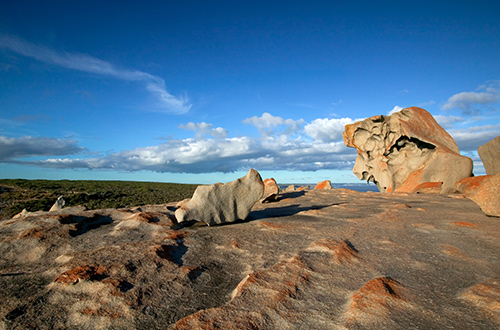southern-ocean-lodge-habitat-restoration-australia-coastal-walkt
