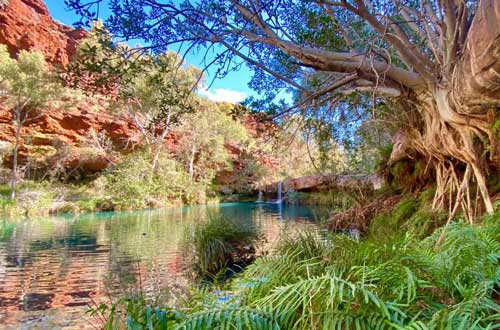 karijini-national-park-and-ningaloo-western-australia