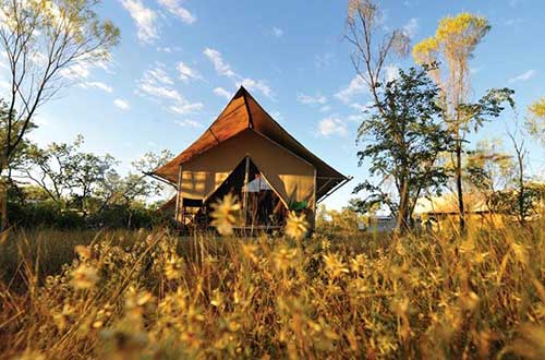 bungle-bungle-wilderness-lodge-kimberley-wa-tent-exterior-grass