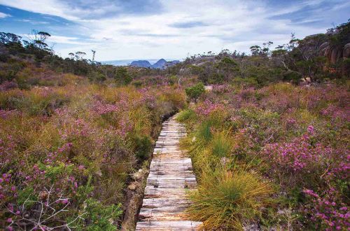 australia-walk-tasmania-freycinet-peninsula-walking-trac