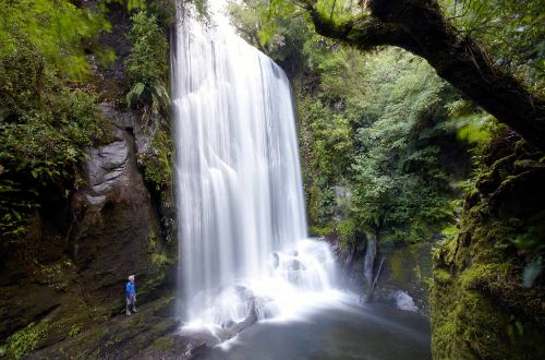 whirinaki-forest-waterfall