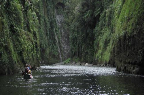 Whanganui-River-Canoeing-Guided-North-Island-New-Zealand-Great-Walks-New-Zealand