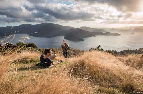Torea-Bay-Queen-Charlotte-Walk-New-Zealand