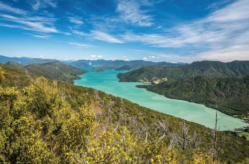 Queen-Charlotte-Track-walk-queen-charlotte-track-lodge-to-lodge-walk-picton-new-zealand