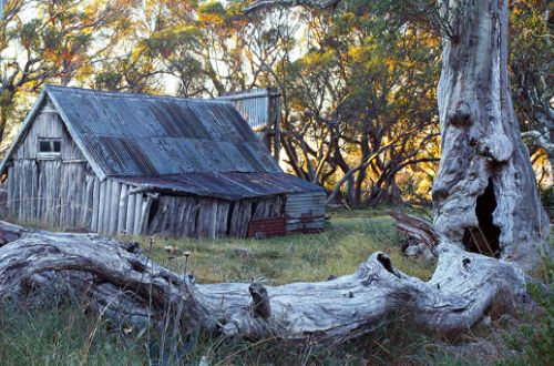 victorian-alps-high-country-walk