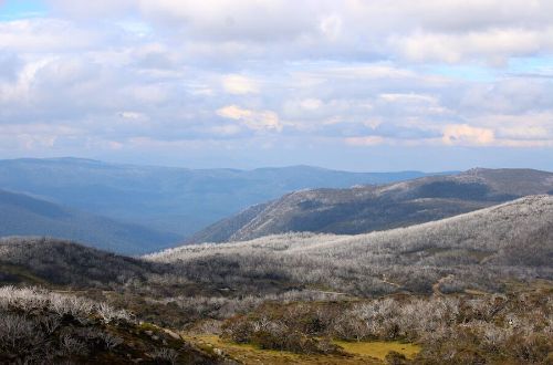 victorian-alps-high-country-walk