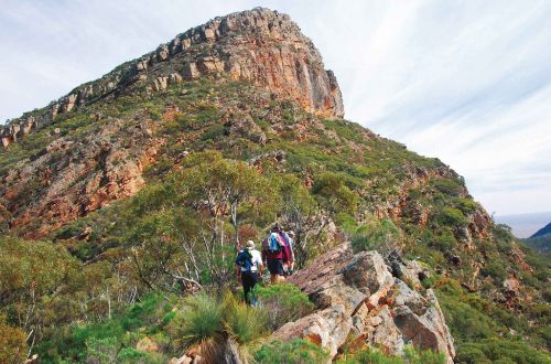 heysen-trail-flinders-ranges-trekking-south-australia-st-marys-peak