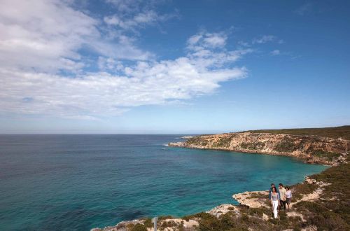 luxury-kangaroo-island-walk-hanson-bay-walk
