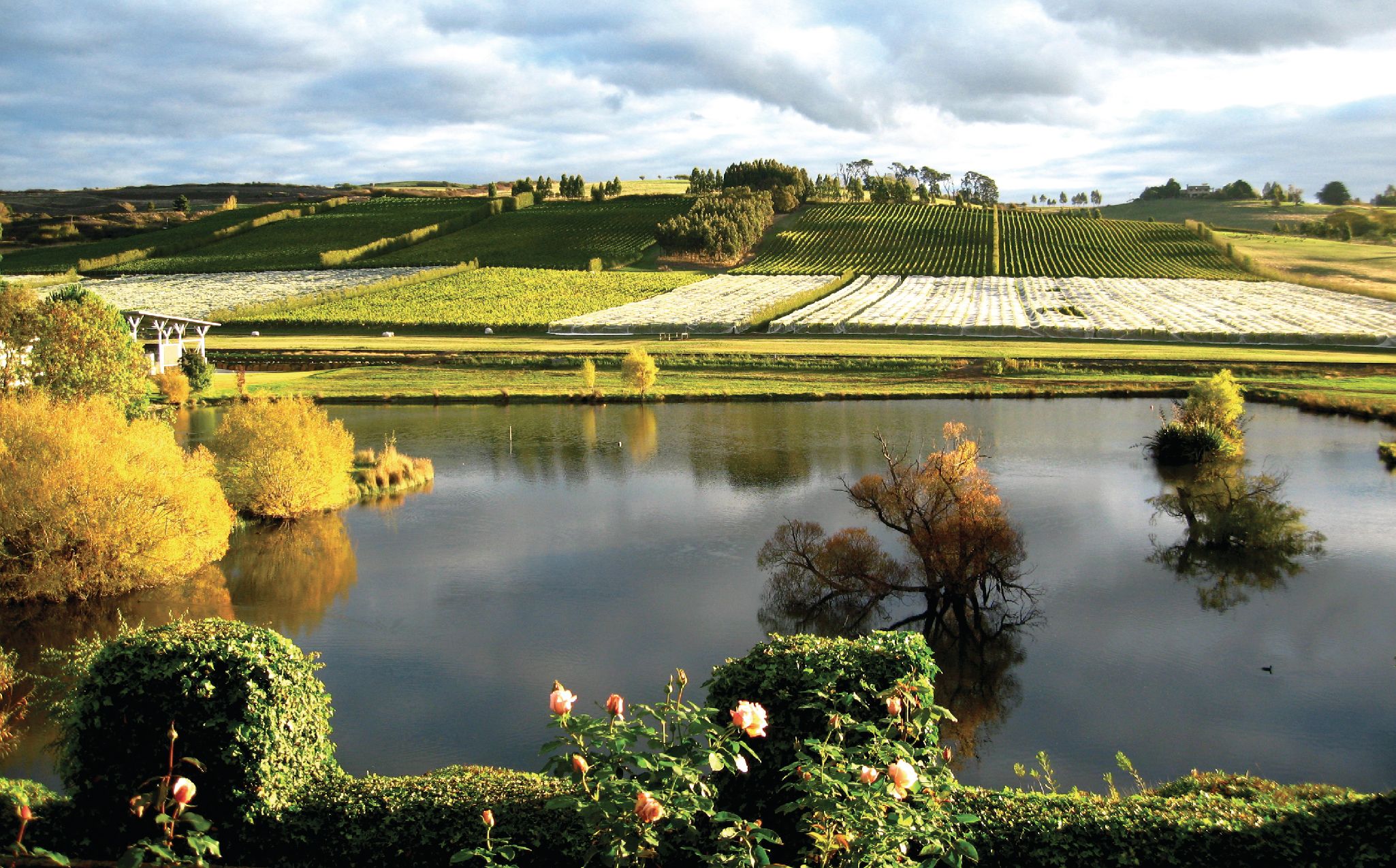 josef-chromy-winery-australia-luxury-travel