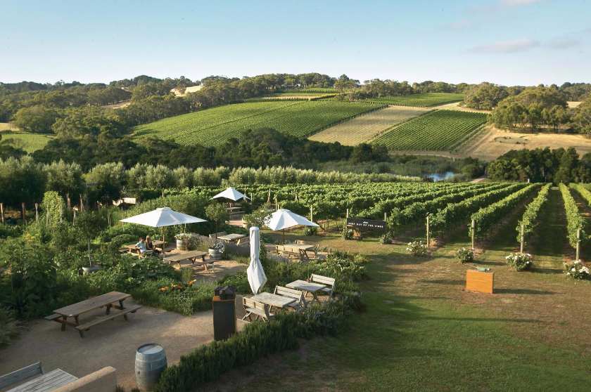 Montalto-winery-australia-luxury-travel