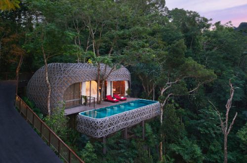 keemala-resort-phuket-thailand-bird-cottage-pool-villa-rainforest-jungle