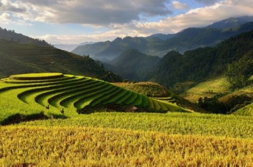 luxury-cycling-vietnam-rice-fields-province-